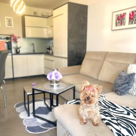 ז'שוב Downtown Apartments Family&Friends מראה חיצוני תמונה