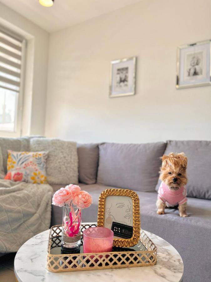 ז'שוב Downtown Apartments Family&Friends מראה חיצוני תמונה
