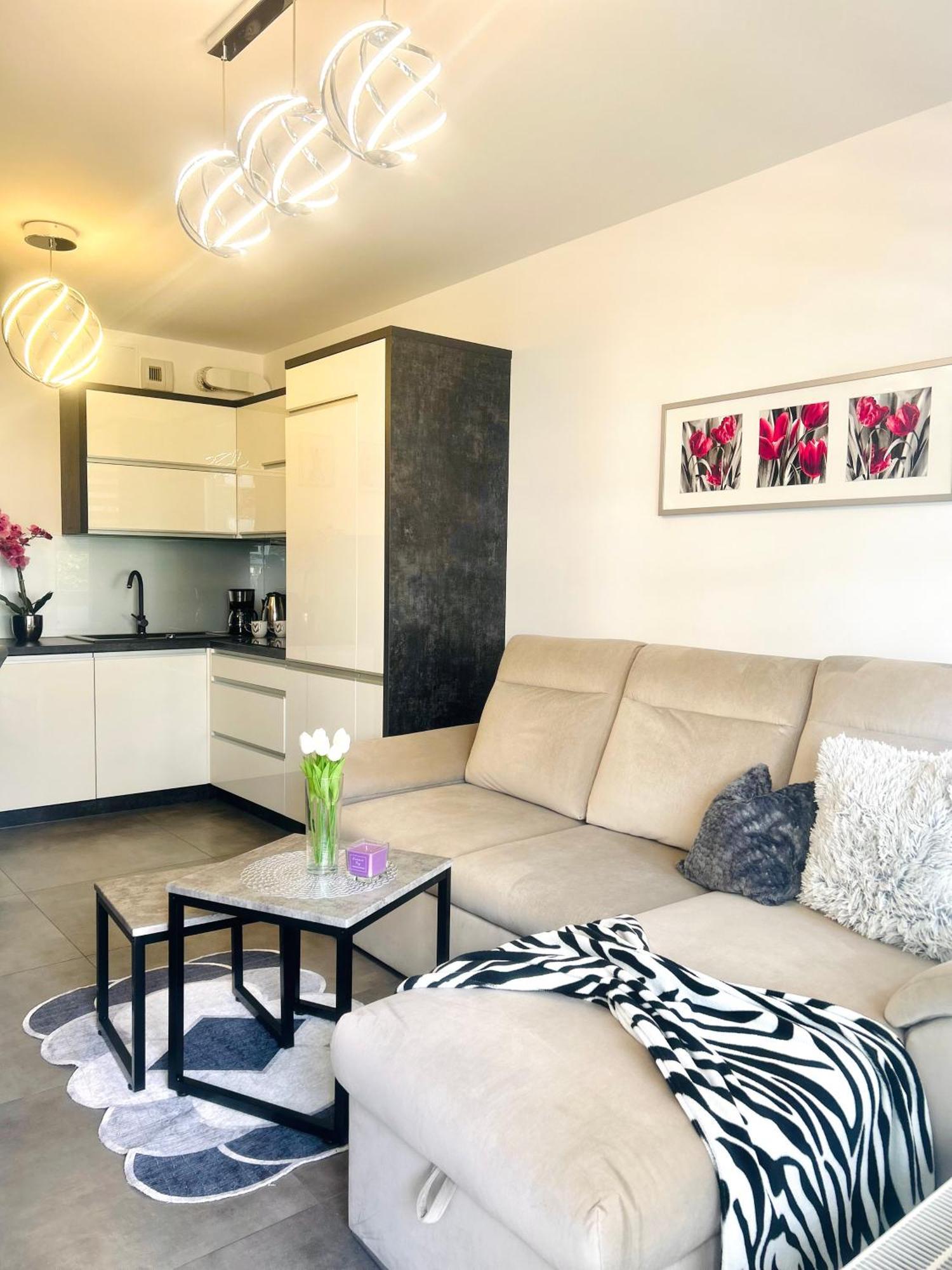 ז'שוב Downtown Apartments Family&Friends מראה חיצוני תמונה
