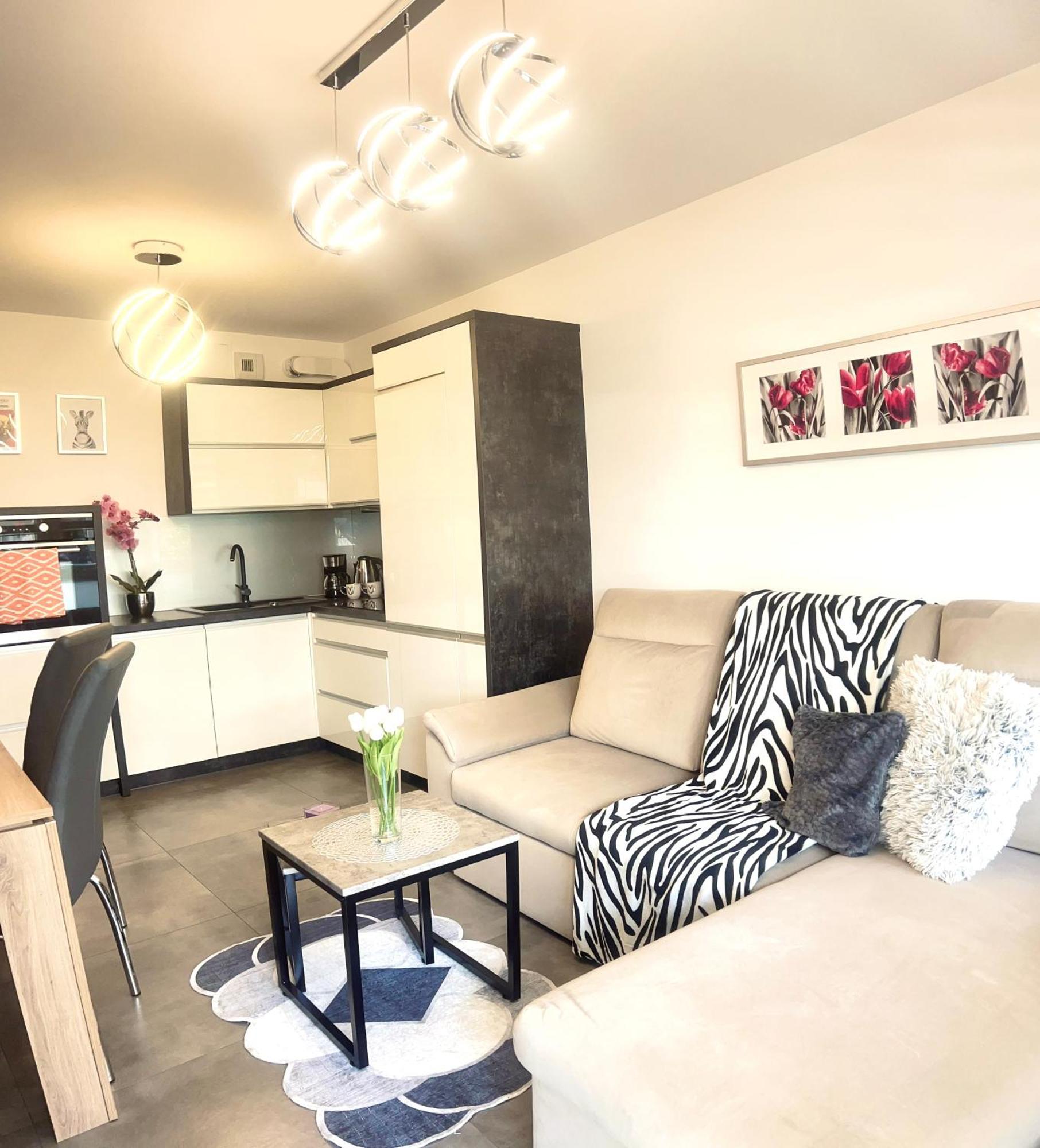 ז'שוב Downtown Apartments Family&Friends מראה חיצוני תמונה